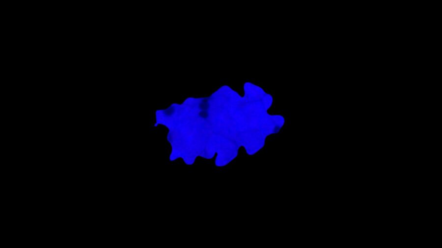 Antropocene